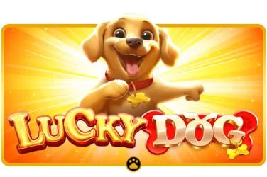 easypoker Baccarat - Mesa de Alto Juego